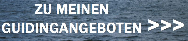 Durch Klicken auf diesen Banner gelangen Sie zu meinen Guidingangeboten Durch Klicken auf diesen Banner gelangen Sie zu meinen Guidingangeboten